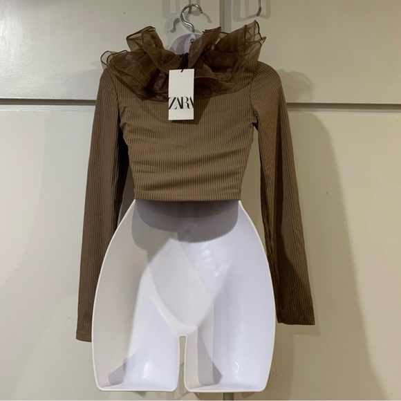 NWT Zara Brown Taupe Organza Long Sleeve Shirt Bloggers’ Favorite - Picture 9 of 11